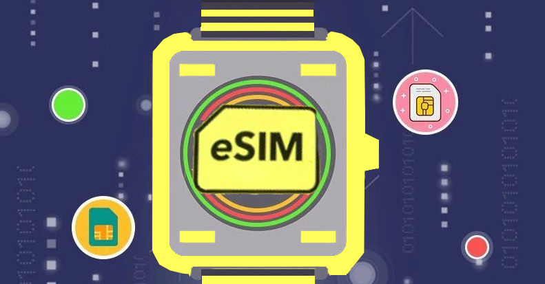 ESIM應(yīng)用環(huán)境的實(shí)際應(yīng)用有哪些？效果圖
